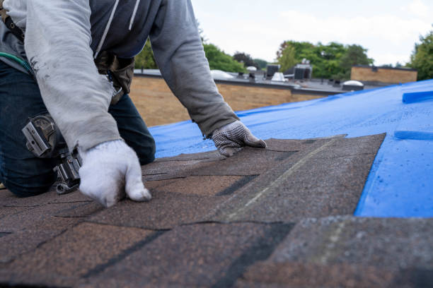 Best Metal Roofing Installation  in Bridgeport, NE